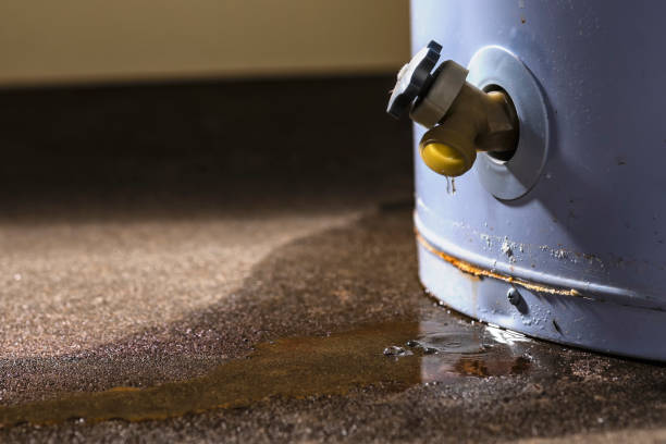Carpet water damage restoration in Peralta, NM