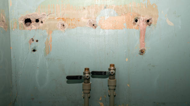 Best Local water damage restoration  in Peralta, NM