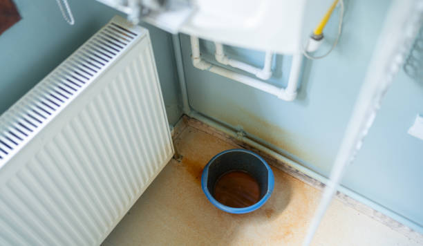 Best Mold removal after water damage  in Peralta, NM